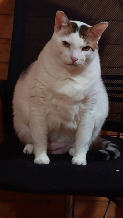 yQMQH.jpg