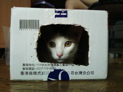 yQoPR.jpg