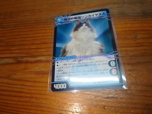 zPnrl.jpg